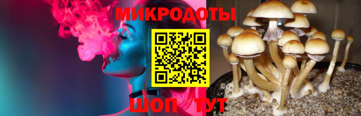 Псилоцибиновые грибы прущие грибы Гулькевичи